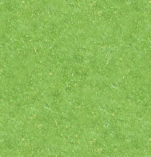 草皮地面-ID:703330044