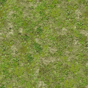 草皮树林-ID:538923036