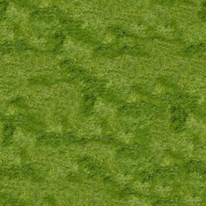 ModernGrass