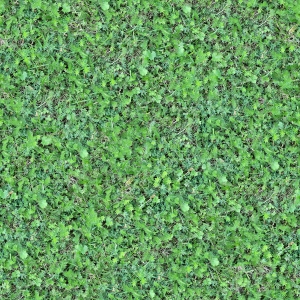 草皮树林-ID:393491032