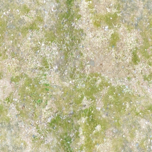 草皮树林-ID:694792997