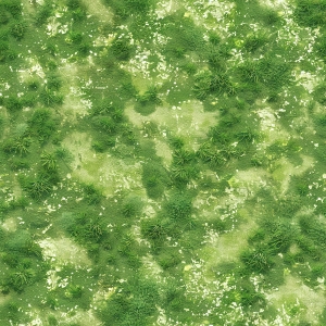 草皮树林-ID:693329103