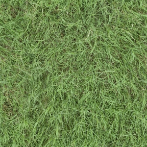草皮树林-ID:847579005