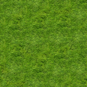 草皮树林-ID:659152989