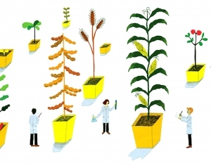 ModernChildren's Drawing