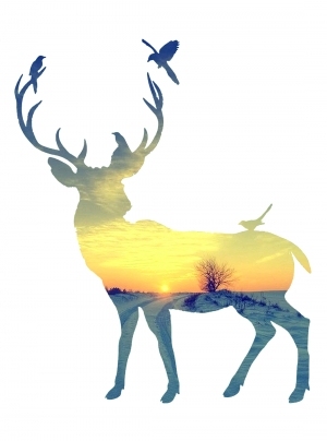 ModernChildren's Drawing