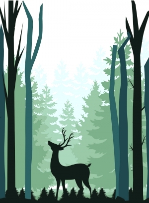 ModernChildren's Drawing