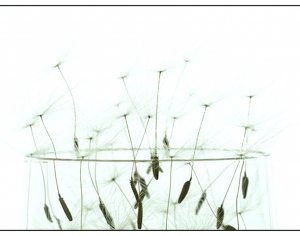 ModernAbstract Painting