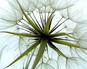 ModernAbstract Painting