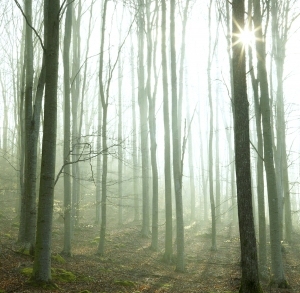 ModernAbstract Painting