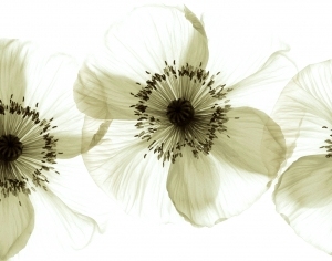 ModernAbstract Painting