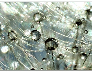 ModernAbstract Painting