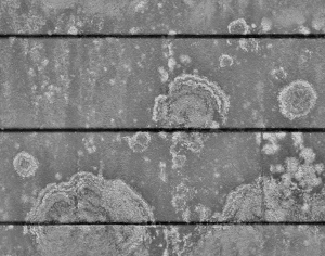 ModernStone Brick Wall