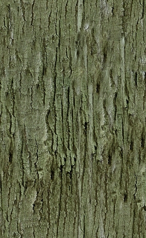 ModernStone Brick Wall