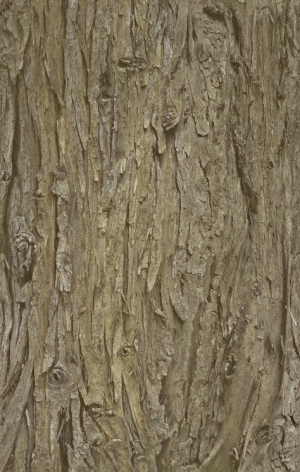 ModernStone Brick Wall