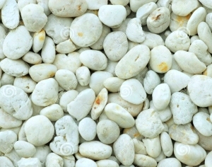 ModernStone Brick Wall