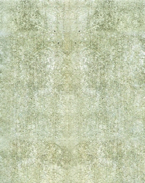 ModernStone Brick Wall