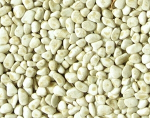 ModernStone Brick Wall