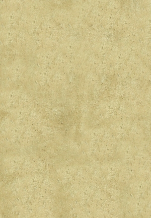 ModernStone Brick Wall