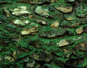 ModernOther Stone Textures