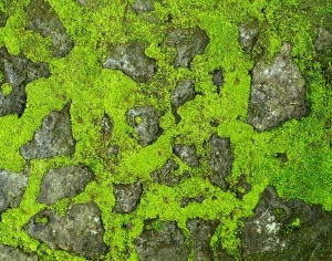 ModernOther Stone Textures