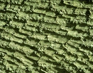 ModernStone Brick Wall