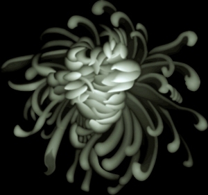 ModernBump Black And White