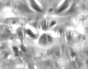 ModernBump Black And White