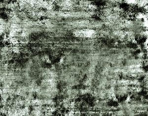 ModernBump Black And White