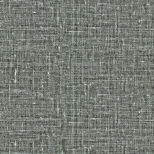 ModernBump Black And White