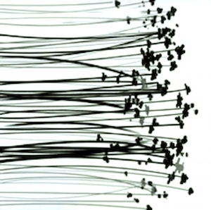 ModernBump Black And White