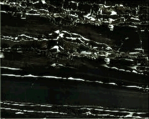 ModernBump Black And White