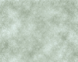 ModernBump Black And White