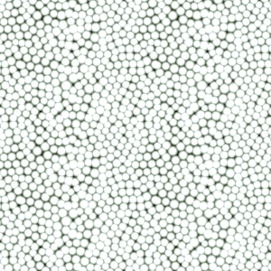 ModernBump Black And White