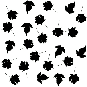 ModernBump Black And White