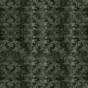 Chinese StyleBump Black And White