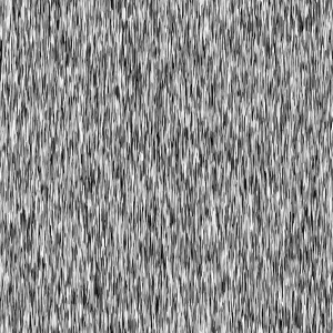 ModernBump Black And White