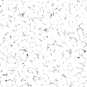 ModernBump Black And White