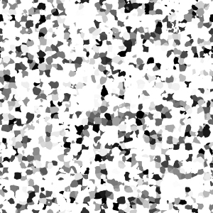 ModernBump Black And White