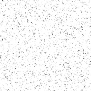 ModernBump Black And White