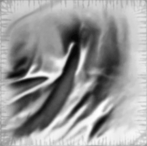 ModernBump Black And White