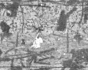 ModernBump Black And White