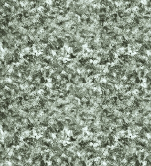 ModernBump Black And White