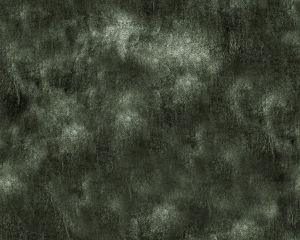 ModernBump Black And White