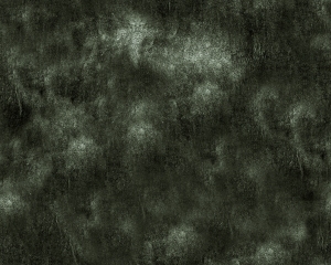 ModernBump Black And White