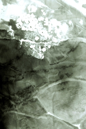 ModernBump Black And White