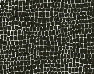 ModernFine Grain Leather
