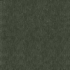 ModernBump Black And White