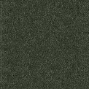 ModernBump Black And White