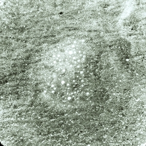 ModernBump Black And White